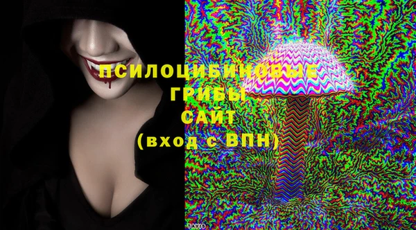 стаф Верхний Тагил