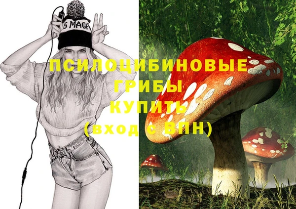 стафф Богданович